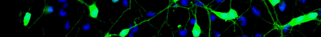 Crossin Lab banner